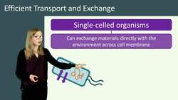 Efficient Transport and Exchange in Living Organisms Instructional Video