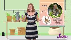 Don’t Be Afraid of Spiders! Instructional Video