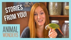 How Animal Wonders Has Made An Impact Instructional Video