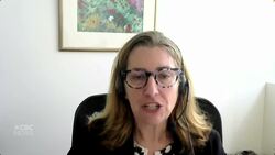 Are U.S. border agents allowed to search my phone? Your border questions answered News Clip