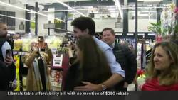 Liberals table GST holiday plan without $250 rebate cheque News Clip