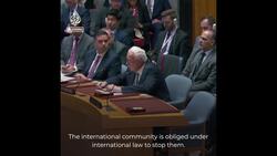 Israeli FM rejects calls for Gaza ceasefire, says Hamas ‘new Nazis’ News Clip