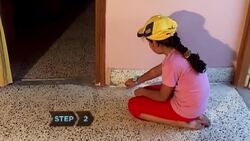 How to Get Rid of Ants Naturally Instructional Video