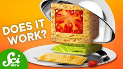 Can You Make A Computer Out Of Food? Instructional Video