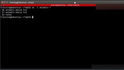 Bash Shell Scripting - Using "I" (pipe) - sort & uniq Commands Instructional Video