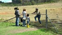 Family visited an organic farm Stock Footage