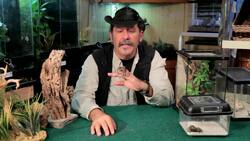 3 Best Tarantula Breeds for Beginners Instructional Video