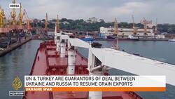 ‘It’s been a long time coming’: Grain ship leaves Odesa port News Clip