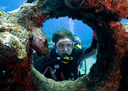 Acids and Alkalis: Part 2 Instructional Video