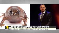 New frog species named after Leonardo Dicaprio News Clip