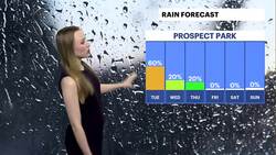 STORM WATCH: Hot and steamy day with scattered thunderstorms for Brooklyn News Clip