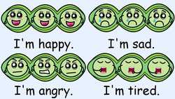 Hello How Are You 2 Instructional Video