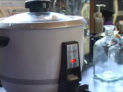 Scientific Method: What Is the Scientific Method? Instructional Video