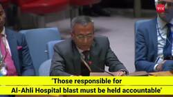 Deeply concerned about large-scale loss of civilian lives in Israel-Hamas war: India at UN News Clip