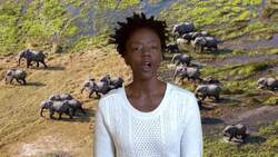 Elephant Conservation: Challenges and Hope in the Modern World Instructional Video