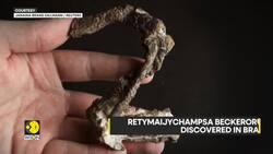 New fossil reveals insights into life before dinosaurs News Clip