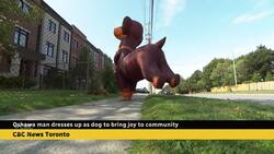 He dresses up as a dachshund to walk his dachshund News Clip