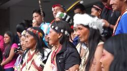 CLEAN : Indigenous protest in Quito to defend Amazon (2) News Clip
