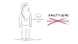 What is Congenital Adrenal Hyperplasia (CAH)? Instructional Video