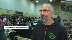 Reptile enthusiasts pack Winnipeg rec centre for breeders' expo News Clip
