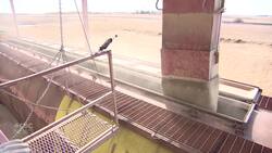 Sask. appeal court upholds decision on thumb-up emoji case News Clip