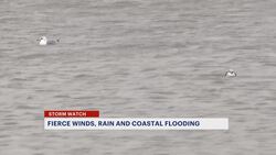 Nor’easter brings fierce winds, heavy rain and flooding to Surf City News Clip