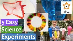 5 Easy Kids Science Experiments Instructional Video