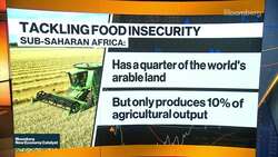 Farmers Need Access to Assets, Training and Markets, Says Farmerline CEO News Clip