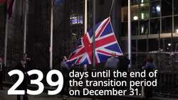 Brexit briefing: 239 days until the end of the transition period News Clip