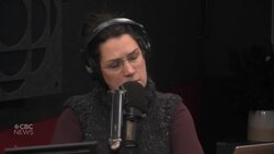 Fredericton loses only vascular surgeon. Here’s what that could mean for patients News Clip