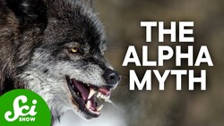 8 Terrible Science Takes Instructional Video