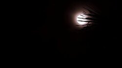 Full bright moon and cloudy background  for halloween. Stock Footage