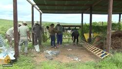 Why South Africa's post-apartheid land reforms plans have stalled News Clip