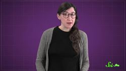 The Unique Reason Reindeer Change Their Eye Color Instructional Video