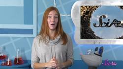 What's It Like to Live Underground? Instructional Video