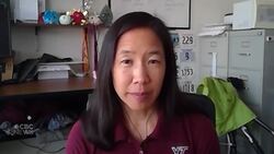 More guidance needed on high quality masks for voters, expert says News Clip