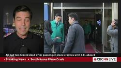 South Korea plane crash: bird strike, bad weather cited as likely causes by authorities News Clip