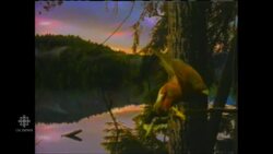 Fuel cells not only for cars News Clip