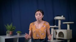 How to Seek Help and Find Key Partners: Crash Course Entrepreneurship Instructional Video