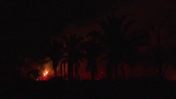 CLEAN : Fires ravage Brazil's Amazon in northern Para State News Clip
