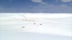 PAN UP FROM WHITE SAND IN DESERT. COULD BE GYPSUM OF WHITE SANDS NEW MEXICO. Stock Footage