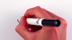 Is the Universe Entirely Mathematical feat. Max Tegmark Instructional Video