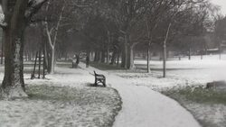 CLEAN : Edinburgh residents contemplate Scottish independence after UK EU departure News Clip