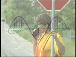 Waves: Transverse Waves Instructional Video