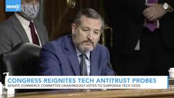 Congress Reignites Antitrust Probes Into Big Tech Companies News Clip