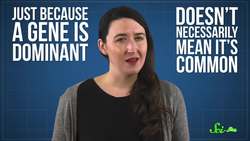 Having Six Fingers Is a Dominant Trait Instructional Video