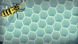 TED-ED: Licking bees and pulping trees: The reign of a wasp queen - Kenny Coogan Instructional Video