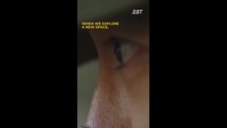 HK URBEX really went to touch grass News Clip