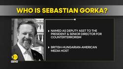 US: Who is Scott Bessent? Donald Trump’s pick for treasury secretary News Clip