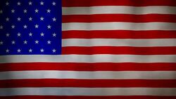 USA flag fabric texture waving in the wind Stock Footage